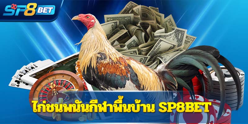ไก่ชนพนันกีฬาพื้นบ้านSp8bet 
