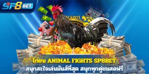 ไก่ชน animal fights Sp8bet สนุกสะใจเล่นมันส์ที่สุด สนุกทุกคู่ชมสดฟรี