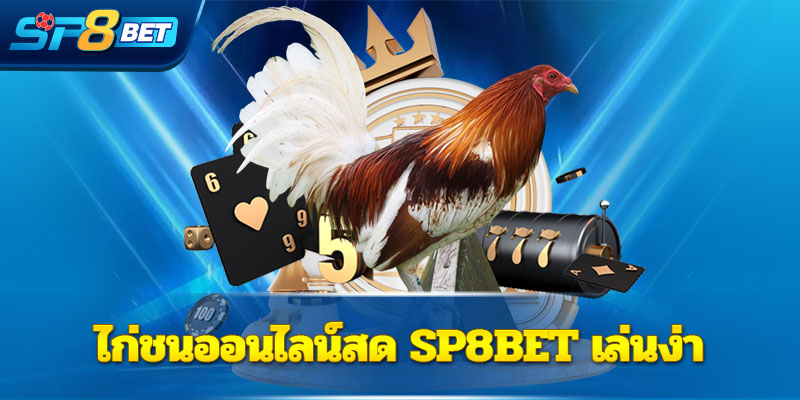 ไก่ชนออนไลน์สด Sp8bet เล่นง่าย