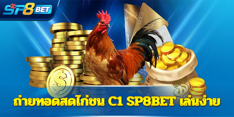 ถ่ายทอดสดไก่ชน C1 Sp8bet เล่นง่าย