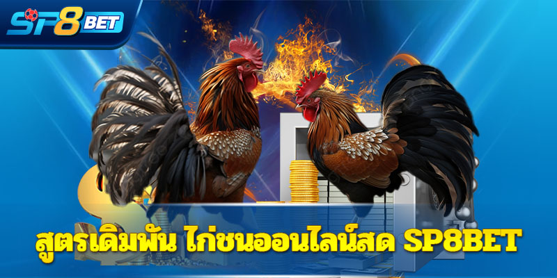 สูตรเดิมพัน ไก่ชนออนไลน์สด Sp8bet
