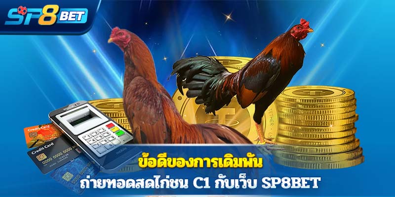  ข้อดีของการเดิมพัน ถ่ายทอดสดไก่ชน C1 กับเว็บ Sp8bet