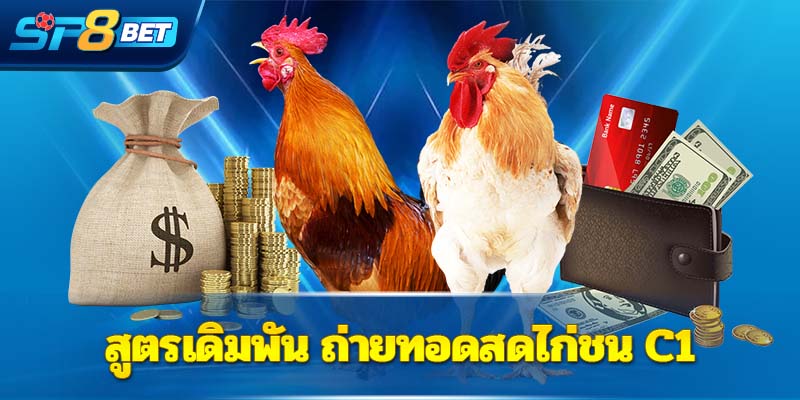 สูตรเดิมพัน ถ่ายทอดสดไก่ชน C1