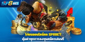 ไก่ชนออนไลน์สด Sp8bet คุ้มค่าทุกการลงทุนสมัครเล่นฟรี